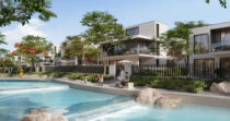 PALMIERA THE OASIS